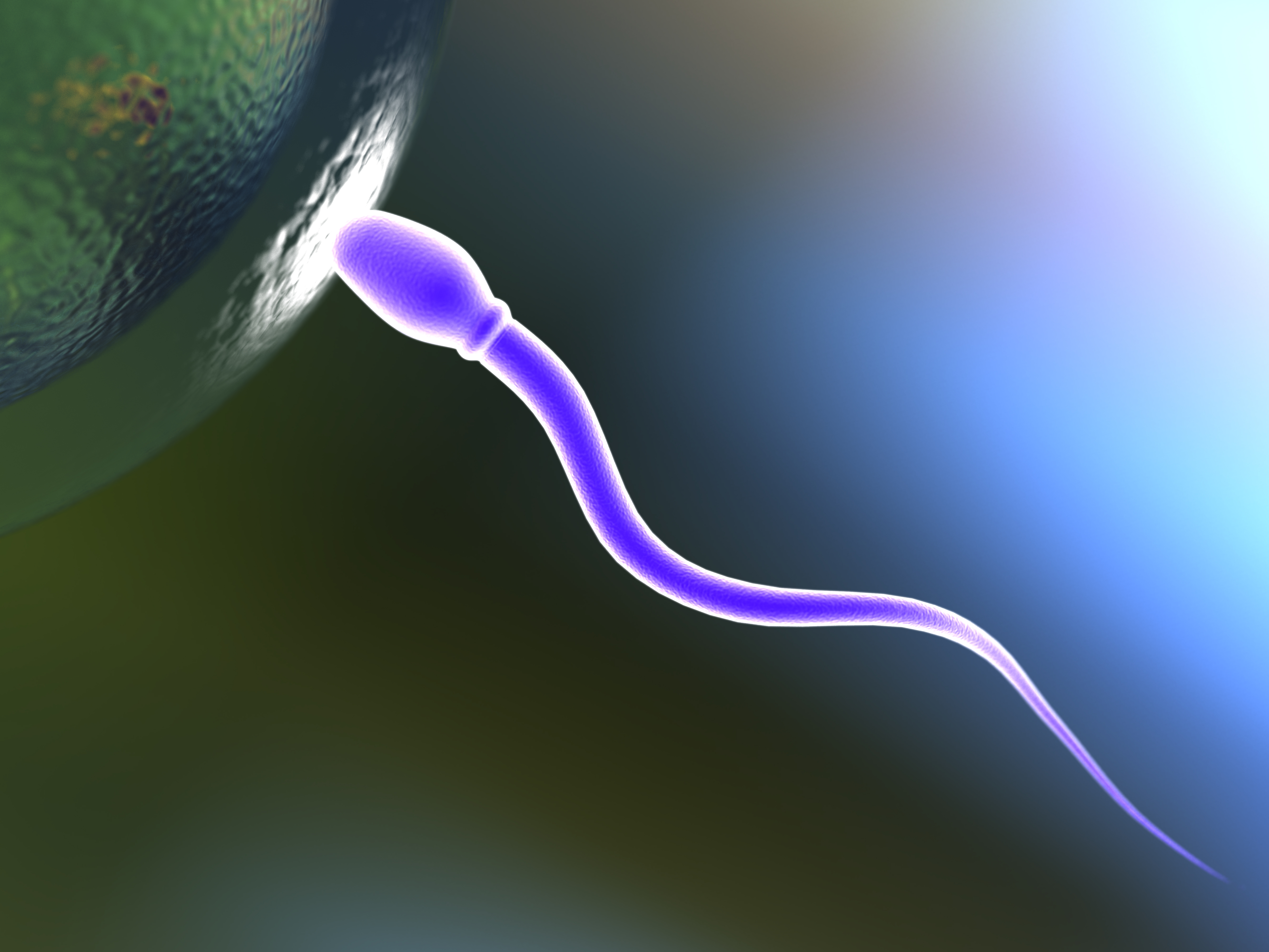premature-ejaculation-treatment-in-noida
